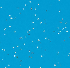 Линолеум Forbo Sphera Evolution 50430 aqua фото 1 | FLOORDEALER